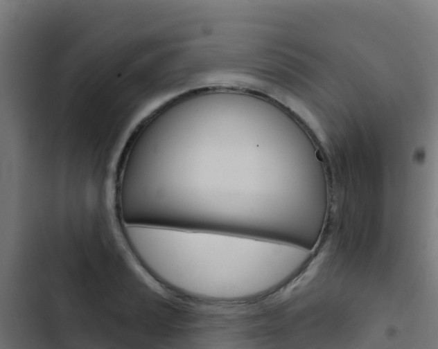 X0000103441037200809121056