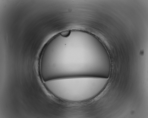 X0000103441038200809121056
