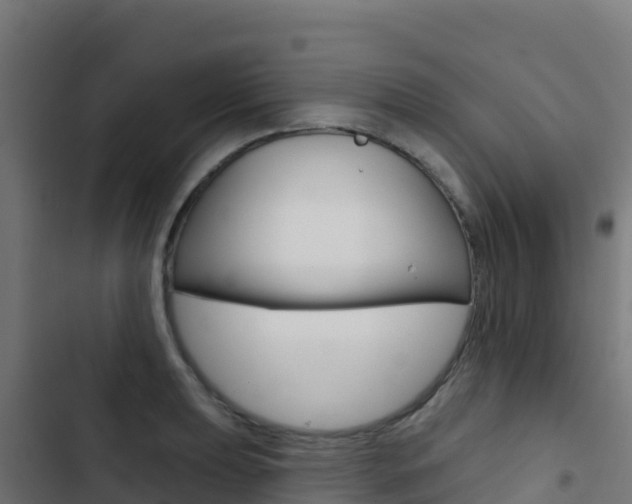 X0000103441039200809121056