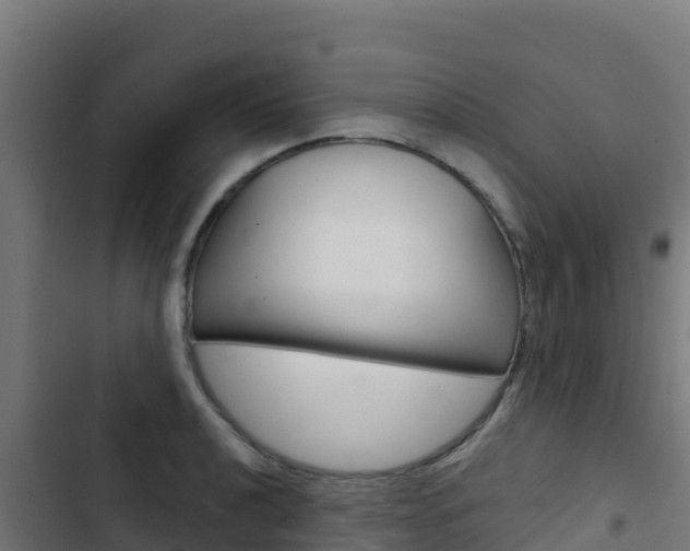 X0000103441040200809121056