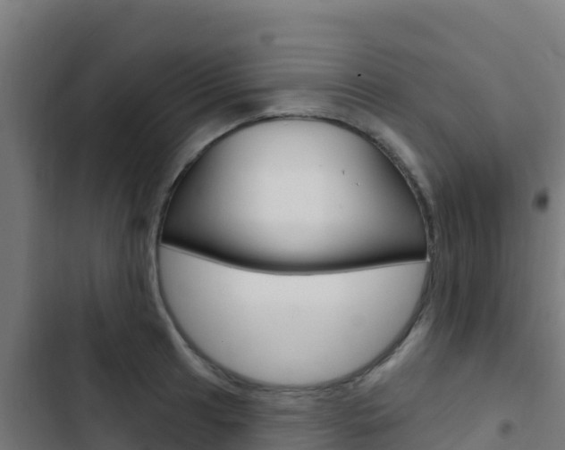 X0000103441041200809121056