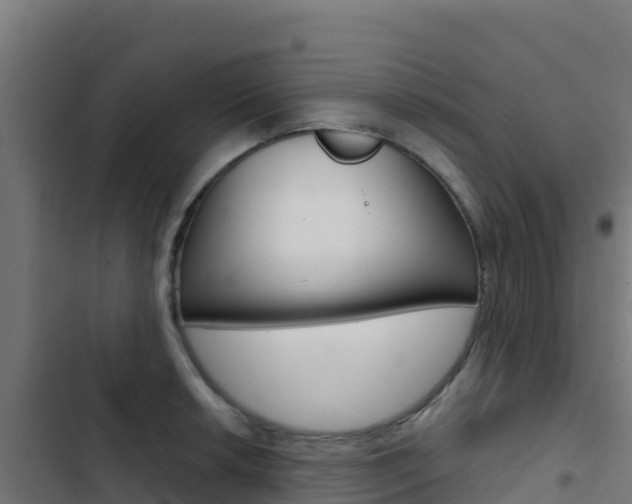 X0000103441042200809121056