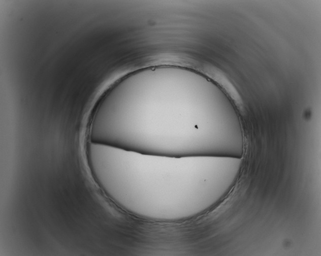 X0000103441043200809121056