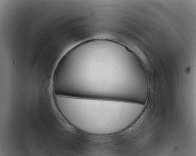 X0000103441044200809121056