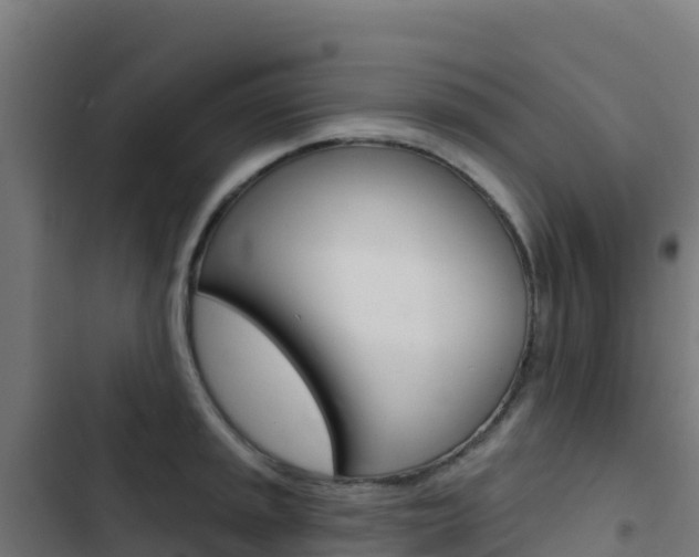 X0000103441045200809121056