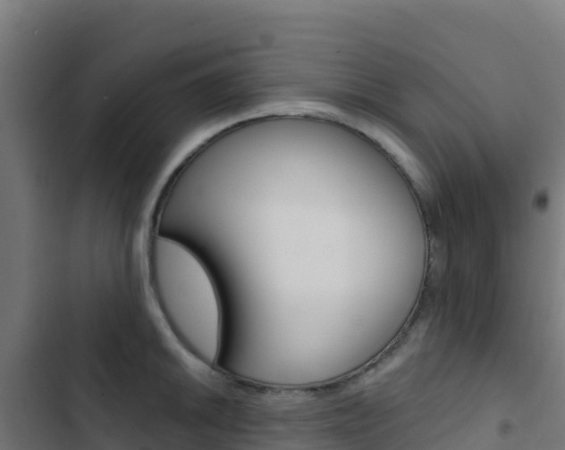 X0000103441046200809121056