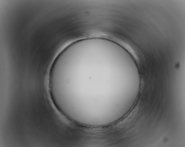 X0000103441047200809121056