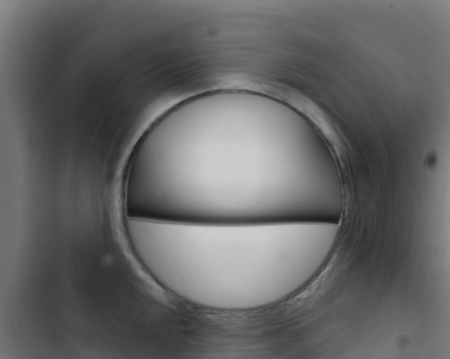 X0000103441048200809121056