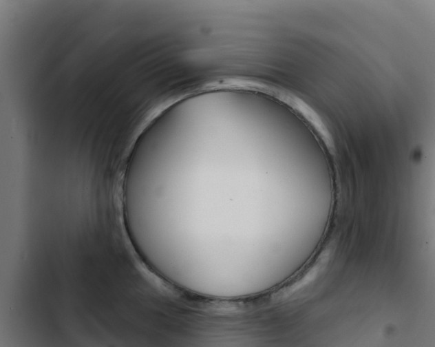 X0000103441049200809121056