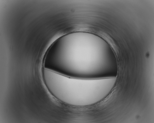 X0000103441050200809121056