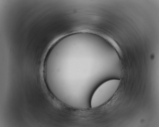 X0000103441051200809121056