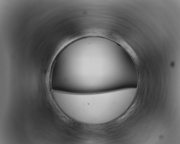 X0000103441052200809121056