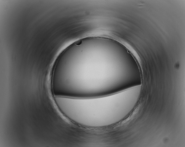 X0000103441053200809121056