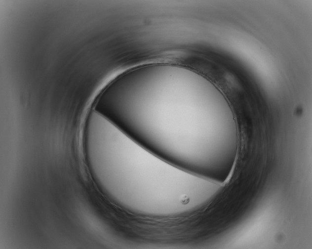 X0000103441054200809121056