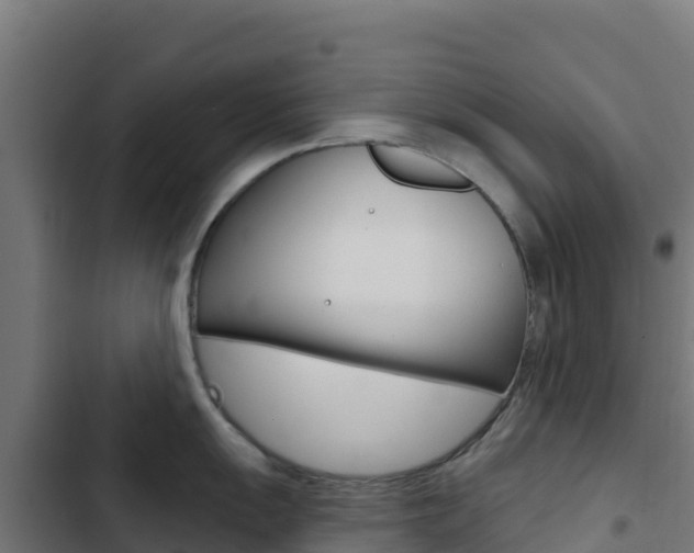 X0000103441055200809121056