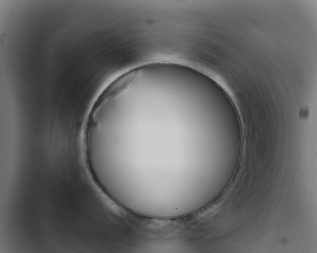 X0000103441056200809121056