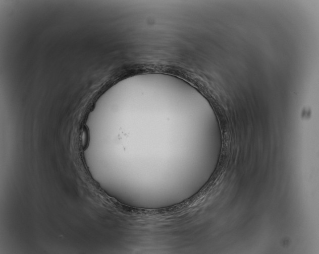 X0000103441057200809121056