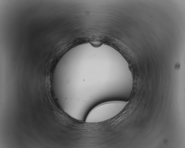X0000103441058200809121055