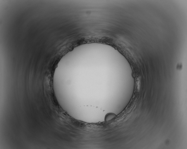 X0000103441059200809121055