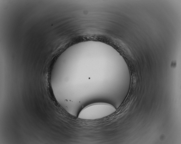 X0000103441060200809121055