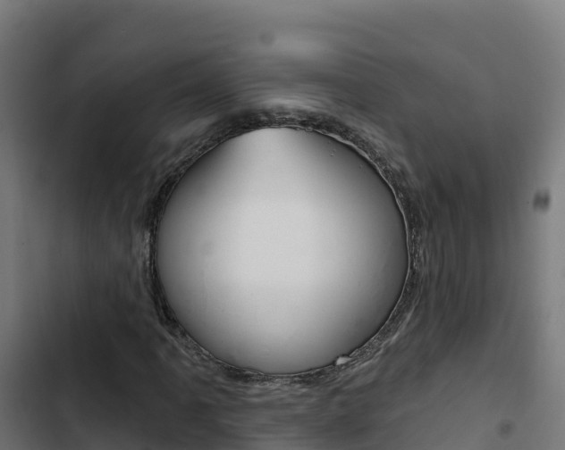 X0000103441061200809121055