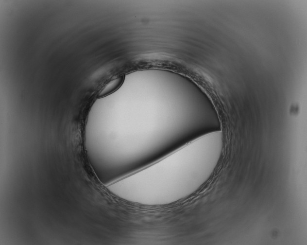 X0000103441062200809121055