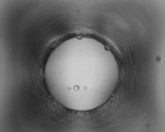 X0000103441063200809121055