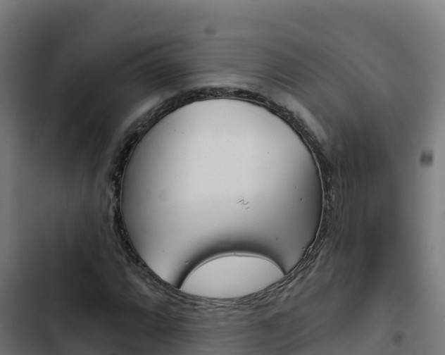 X0000103441064200809121055