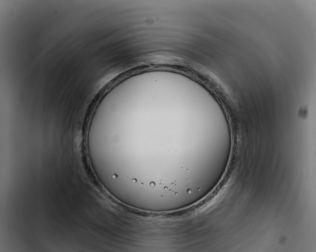 X0000103441065200809121055