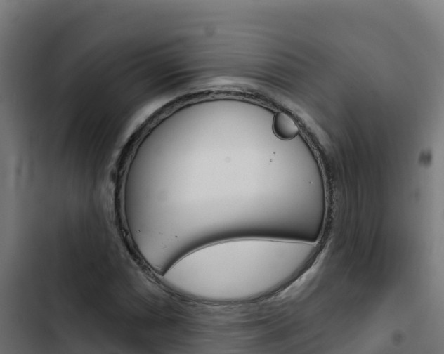 X0000103441066200809121055