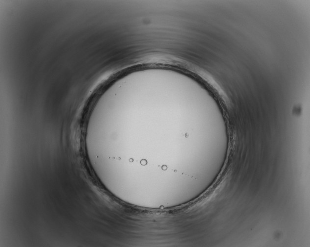 X0000103441067200809121055
