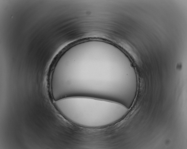 X0000103441068200809121055