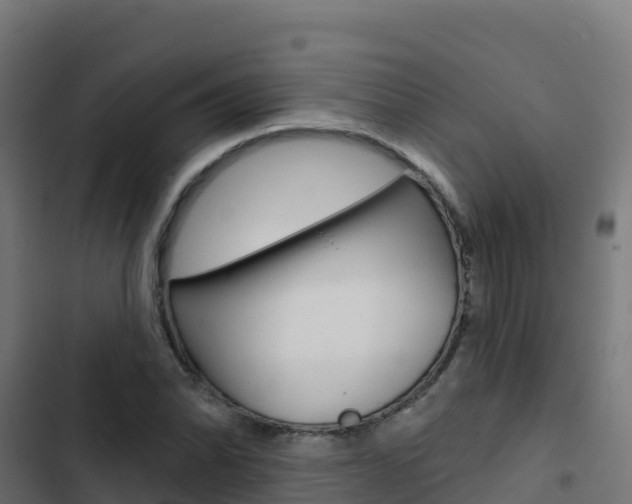 X0000103441070200809121055
