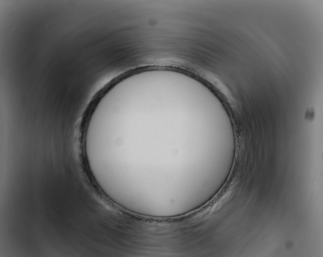 X0000103441071200809121055