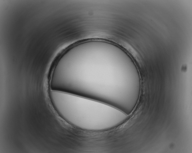 X0000103441072200809121055