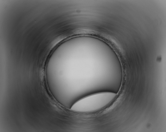 X0000103441073200809121055