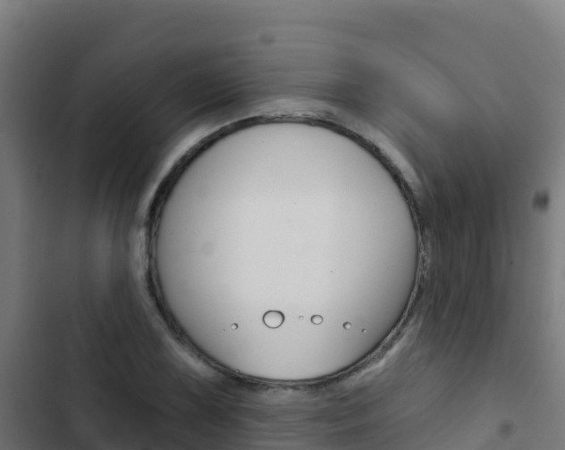 X0000103441075200809121055
