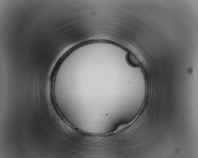 X0000103441076200809121055