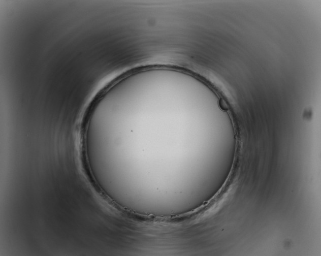 X0000103441077200809121055