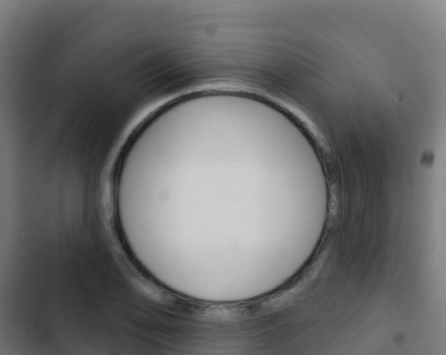 X0000103441078200809121055