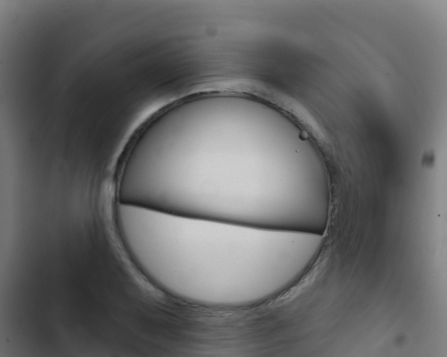 X0000103441079200809121055