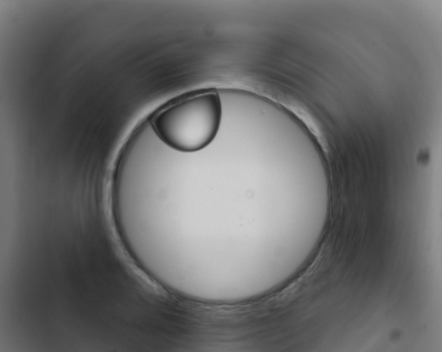X0000103441080200809121055