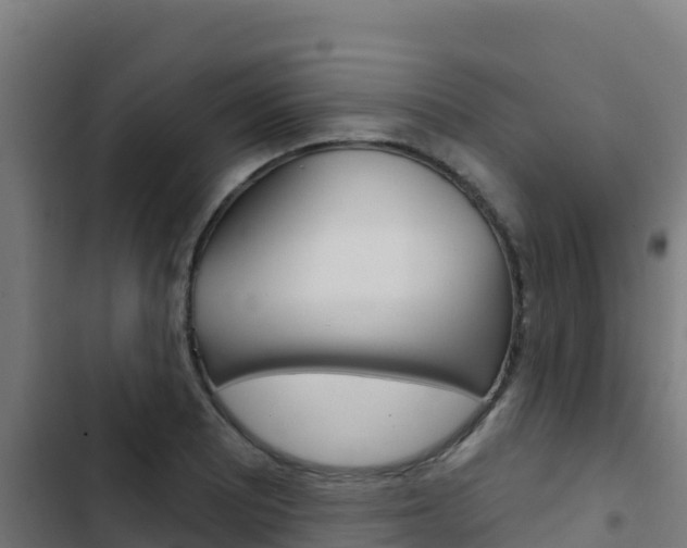X0000103441081200809121055