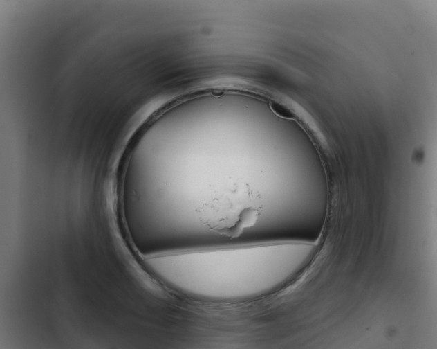 X0000103441082200809121055