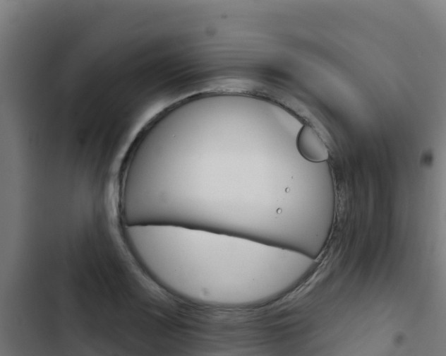 X0000103441083200809121055