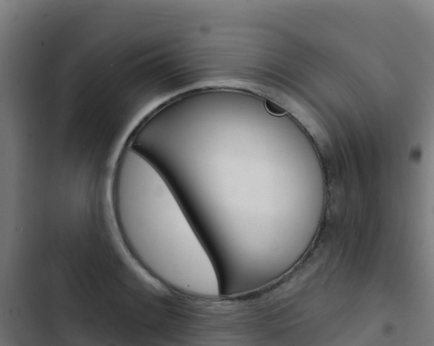 X0000103441084200809121055