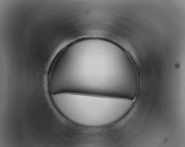 X0000103441085200809121055