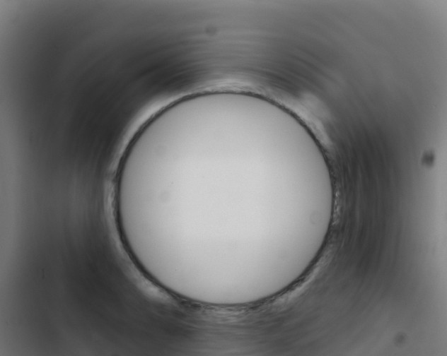 X0000103441086200809121055