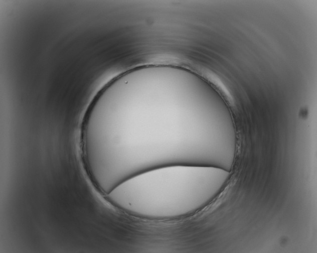 X0000103441087200809121055