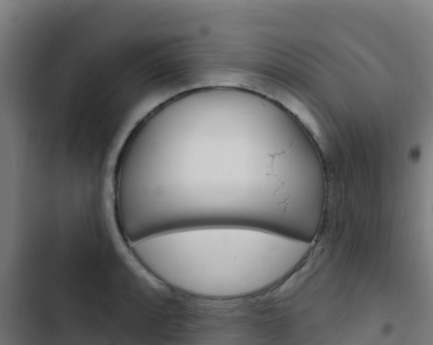 X0000103441088200809121055